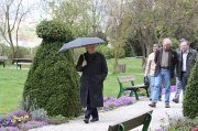 IMG_7996