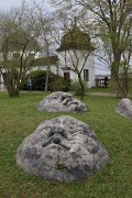 IMG_7997